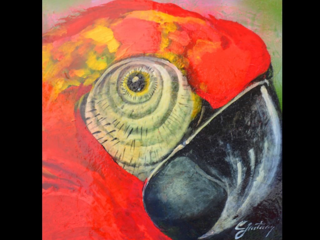 Fiesta de Pájaros de César Fortuny